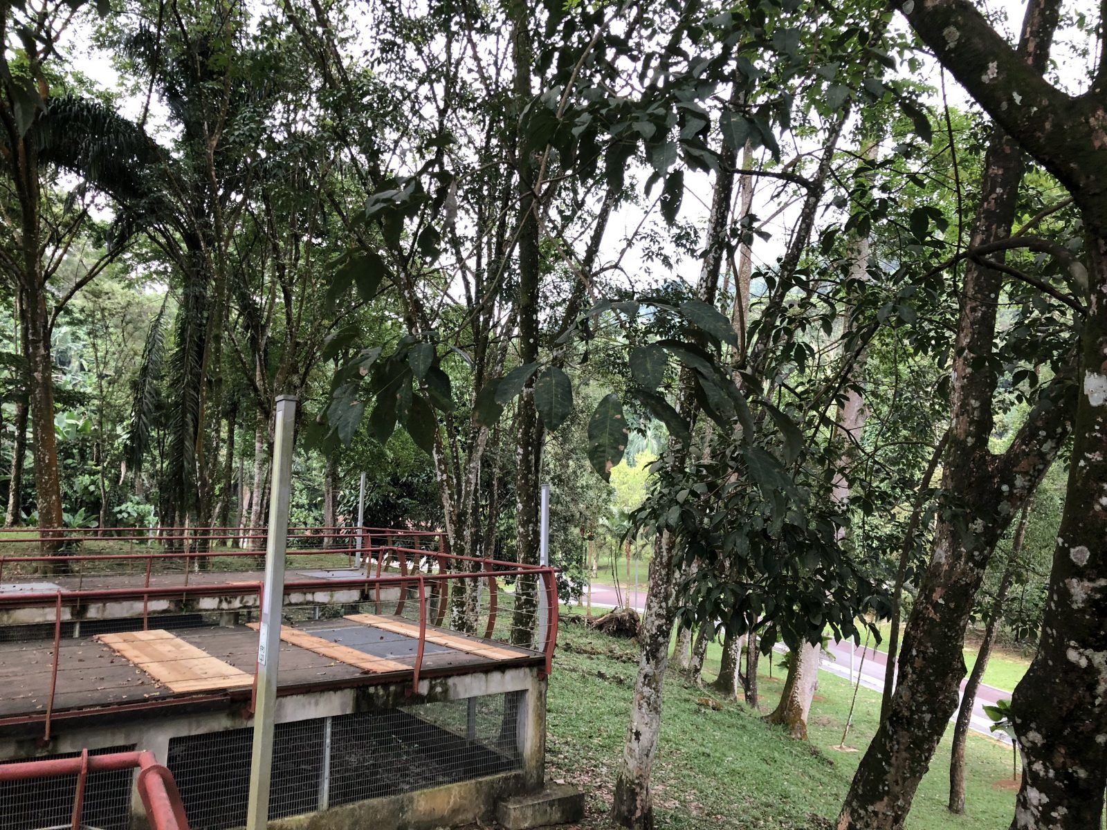 PTT Outdoor Charity Program, PTT Outdoor, IMG 5311,
