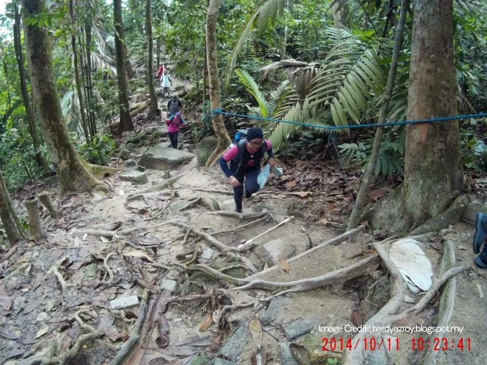 The Ultimate Guide to Hiking Places in Kuala Lumpur, PTT Outdoor, Saga,
