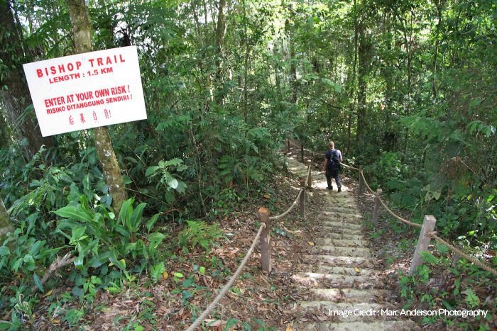 The Ultimate Guide to Hiking Places in Kuala Lumpur, PTT Outdoor, bisho,