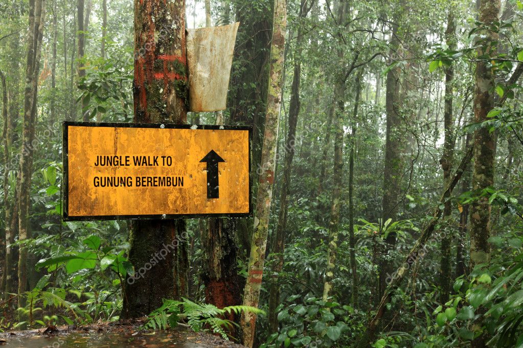 gunung berembun cameron