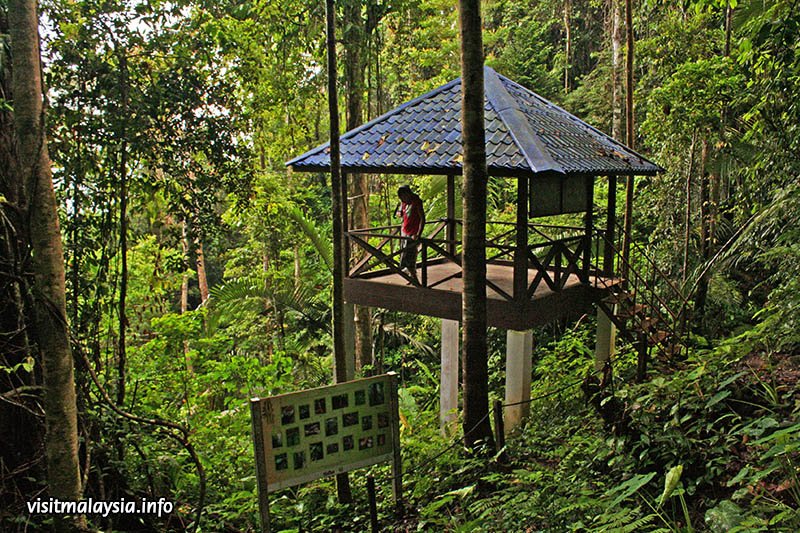 The Ultimate Guide to Hiking Places In Kuala Lumpur, PTT Outdoor, bishop watchtower,