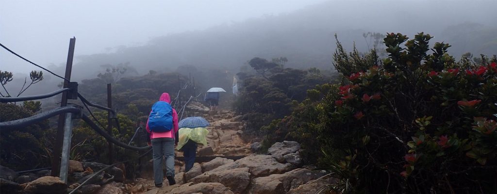 Things to Bring for Kinabalu Hike, PTT Outdoor, Kinabalu Banner,