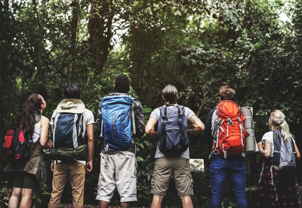 iLeaveNoTrace | Inspiring a Reforestation Revolution | PTT Outdoor iLeaveNoTrace | Inspiring a Reforestation Revolution, PTT Outdoor, trekking in a forest KLSV37Q,
