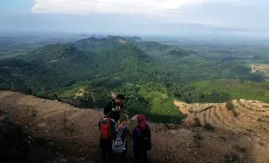 view bukit tok dun