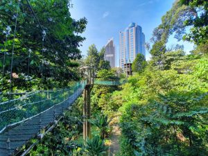 KL Forest Eco Park, PTT Outdoor, 20191211 102844 1068x801 1,