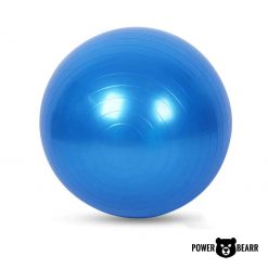 Power Bearr Gym Ball