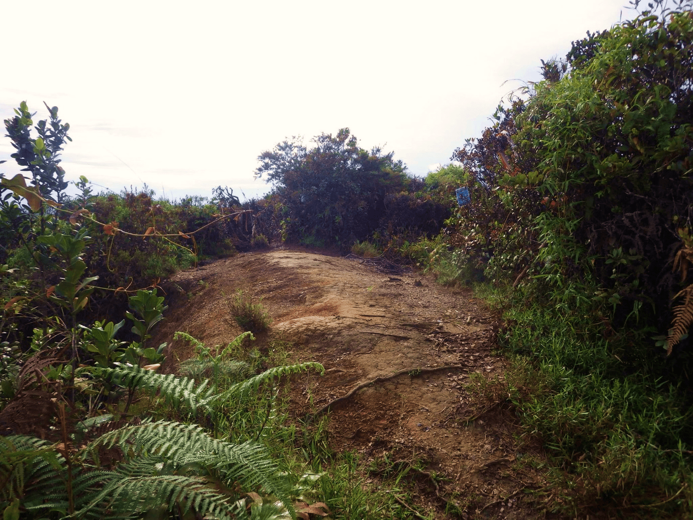 Gunung Suku Gunung Suku