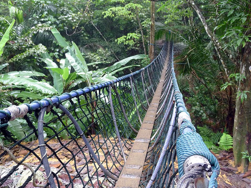 Top Five Hiking Trails in Selangor 4 Top Five Hiking Trails in Selangor