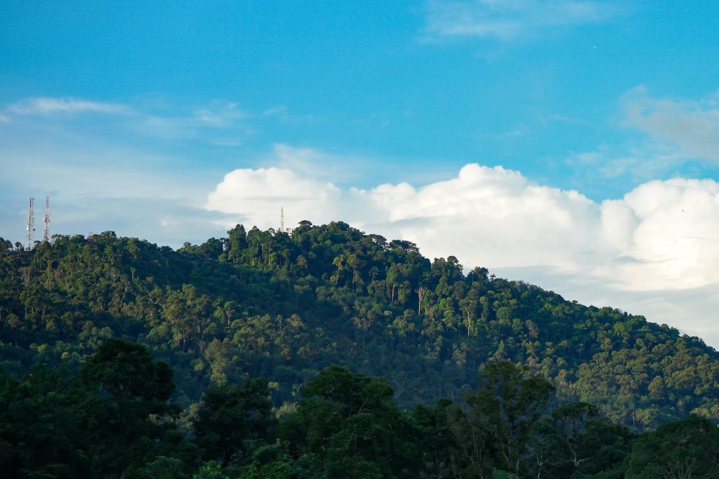 Penang National Park