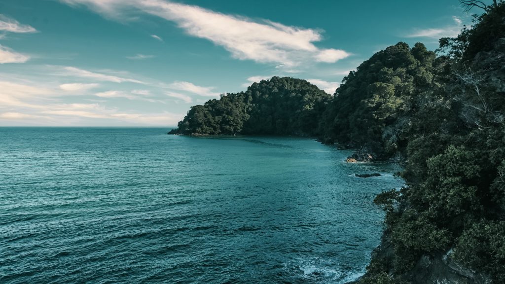 Penang National Park