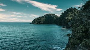 Top 3 Hiking Spots to Dominate in Penang, PTT Outdoor, rem tadeo B Fikg4cDM unsplash,