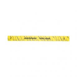 SANCTBAND ACTIVE + HARIMAU MALAYA Resistive Band, PTT Outdoor, SANCTBAND HARIMAU MALAYA Resistive Band 2,