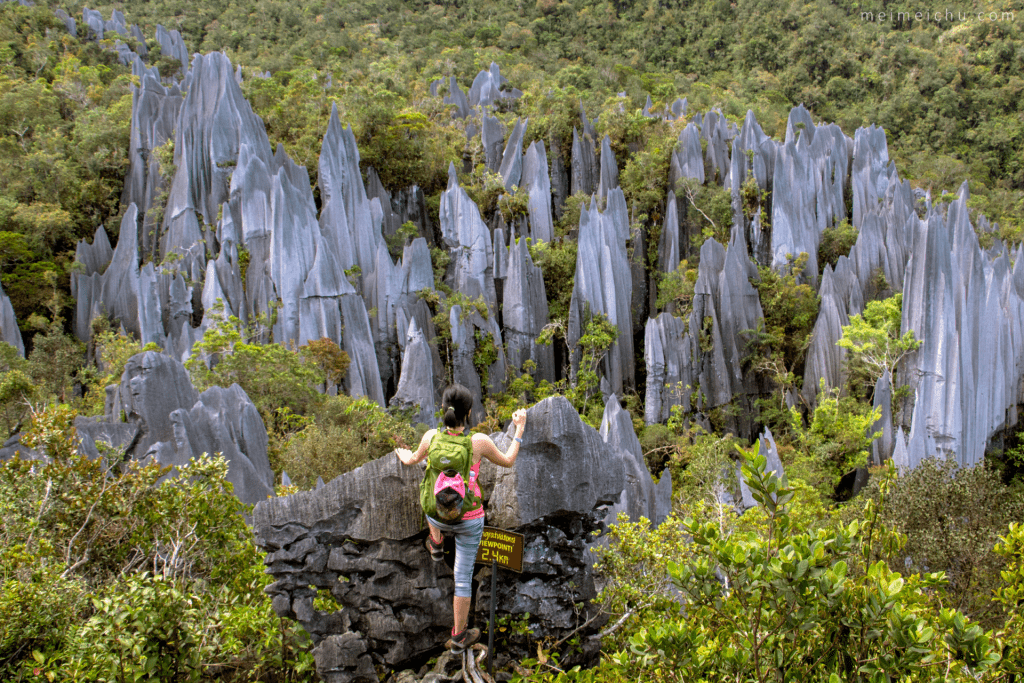 The Pinnacles Trail