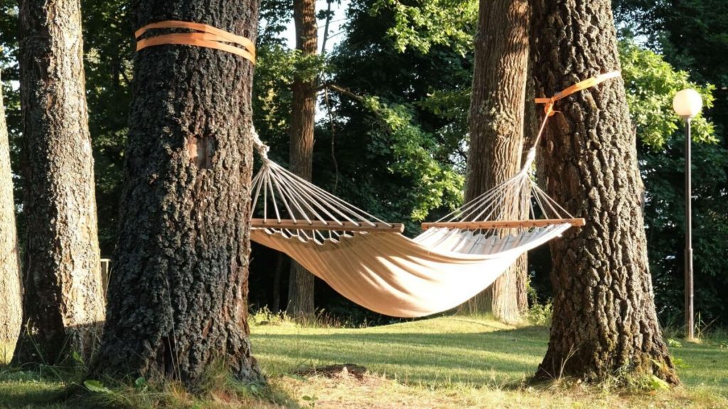 Tree hammock