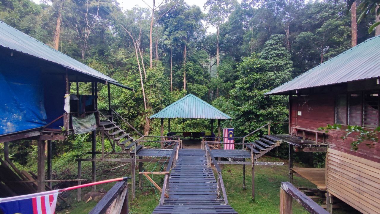 Ginseng Campsite, Maliau Basin