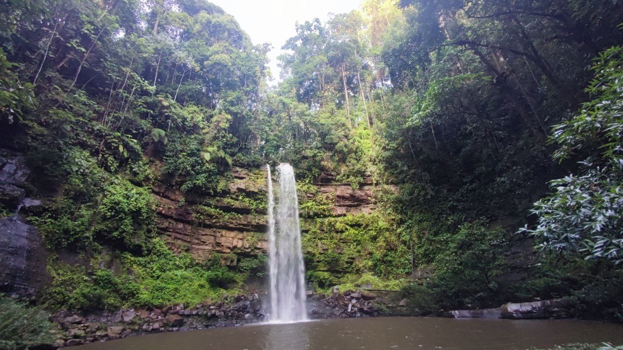 Ginseng falls