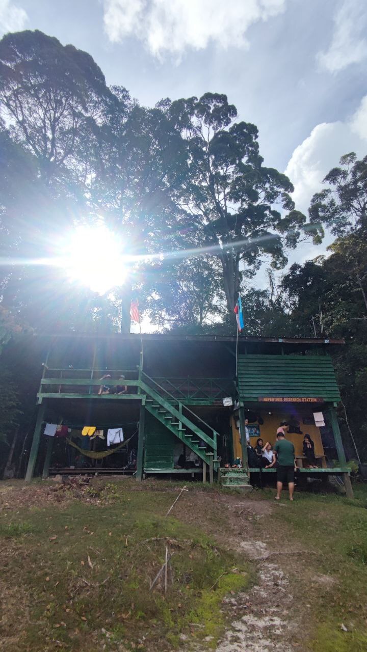 Nephentes Camp Maliau Basin