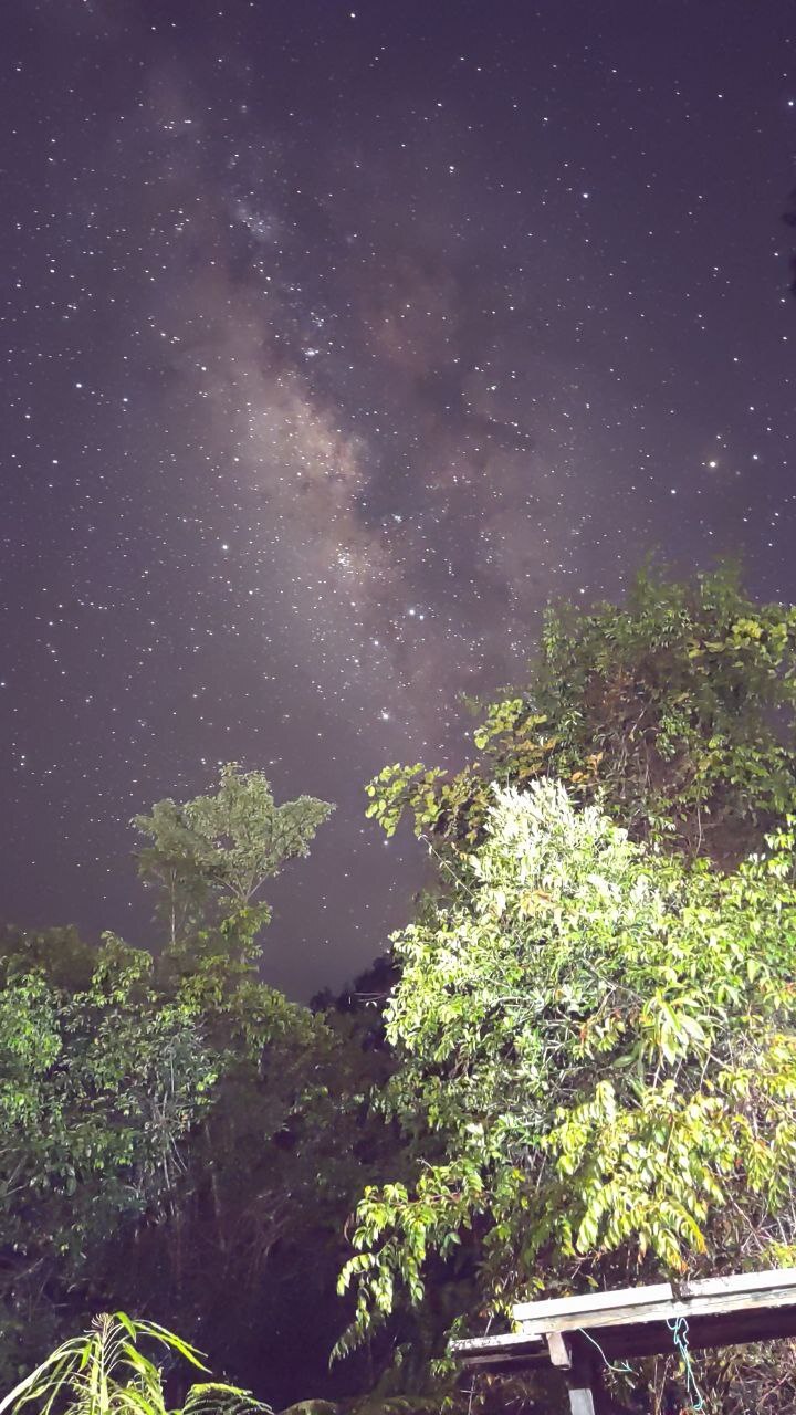 Nights Skies of Nephentes Camp, Maliau Basin