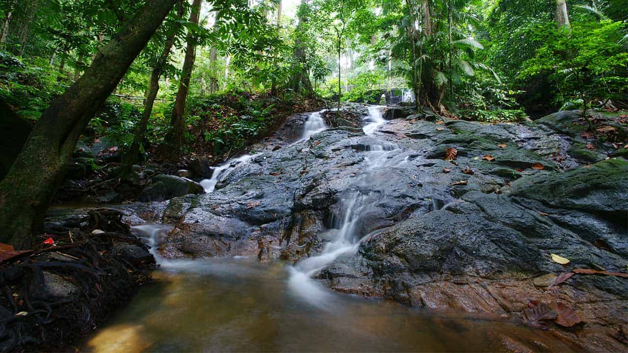 Camping Escapes Near Kuala Lumpur, PTT Outdoor, Forest Research Institute of Malaysia,