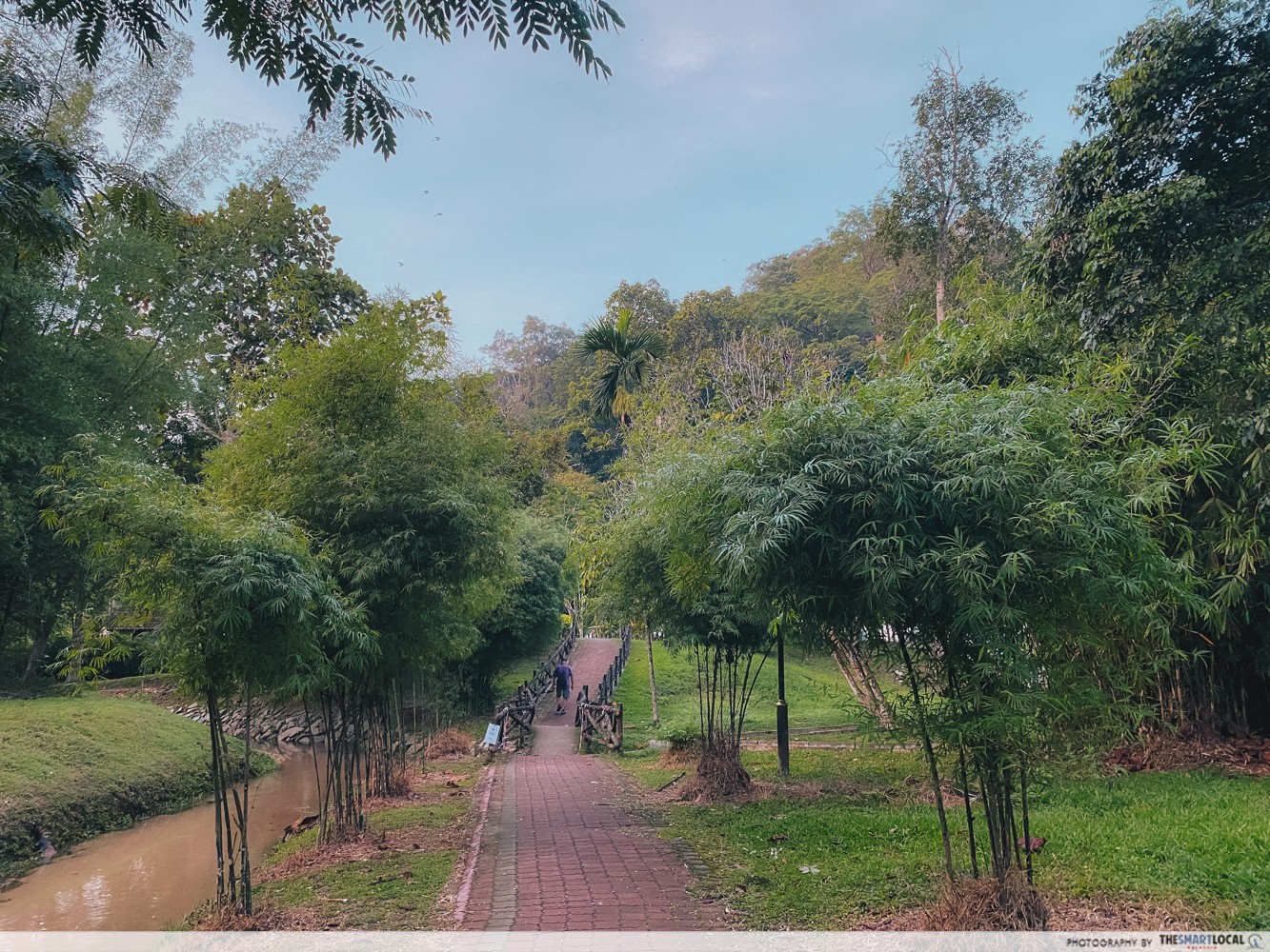 适合初学者的 5 条风景优美的远足路径, PTT Outdoor, Penang Botanic Gardens,