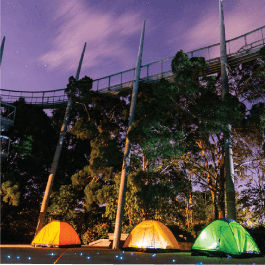 Top 5 Camping Spots in Penang, PTT Outdoor, The Habitat Penang Hill 2,