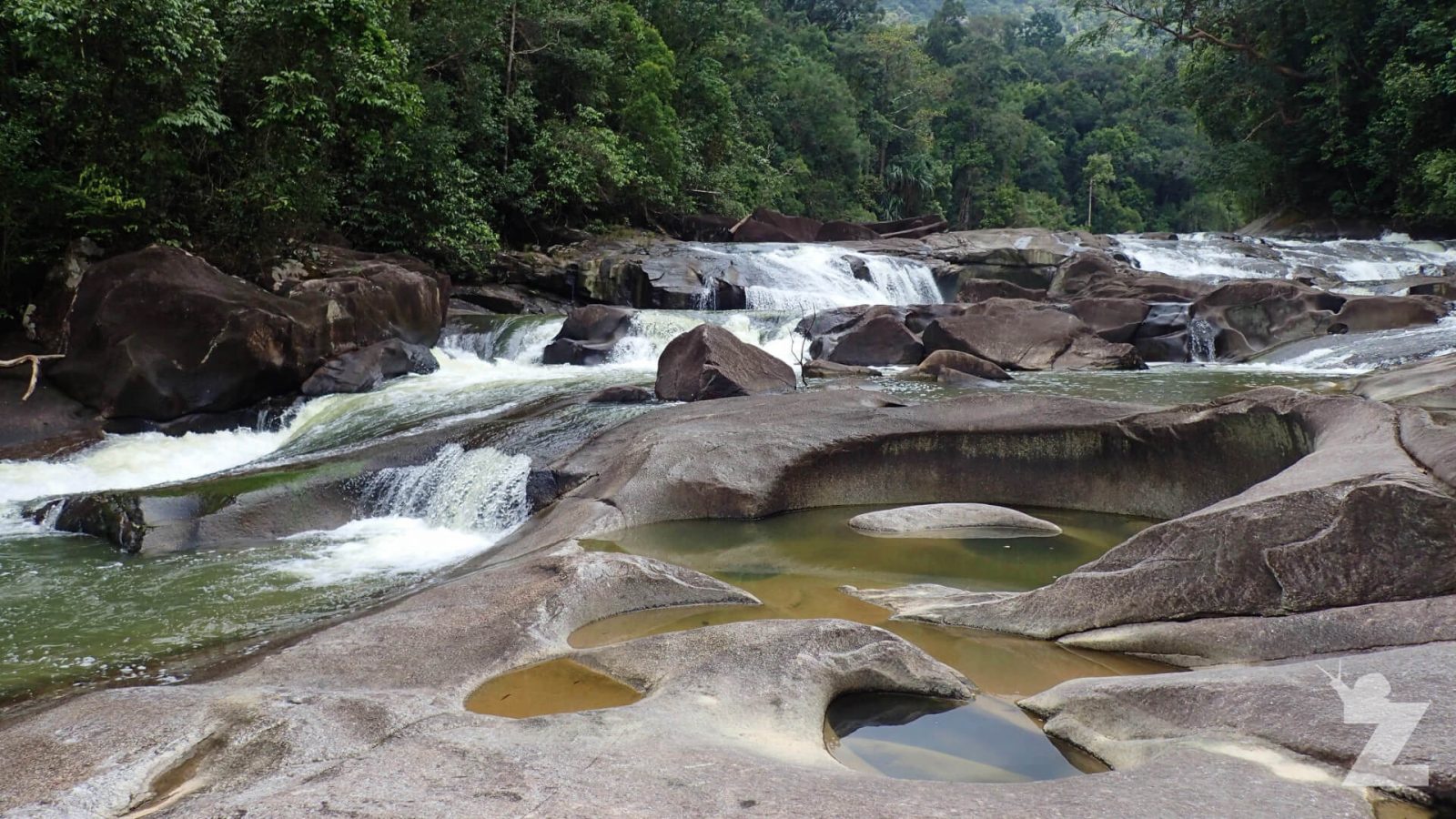 Benefits of Forest Bathing in Malaysia, PTT Outdoor, forest bathing 5 Endau Rompin National Park,