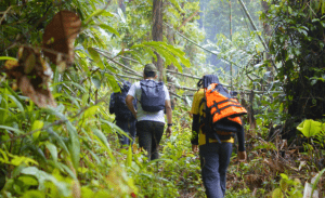 hiking, 徒步旅行