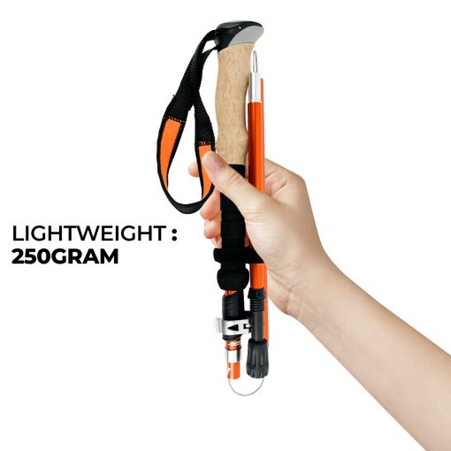tahan-3-section-foldable-hiking-stick-weight